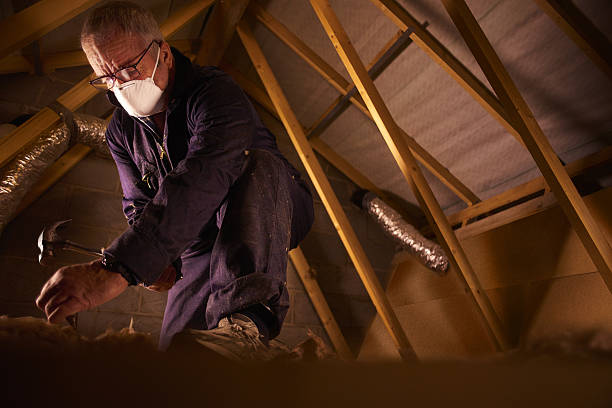 Best DIY Insulation Kits and Guidance in Fort Hood, TX